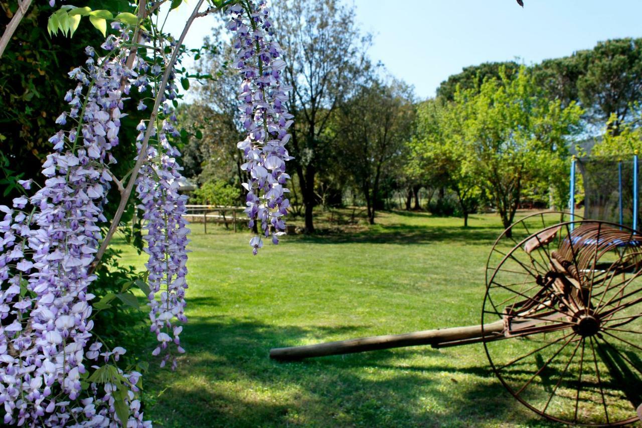 Agriturist Prile Villa Castiglione della Pescaia Buitenkant foto
