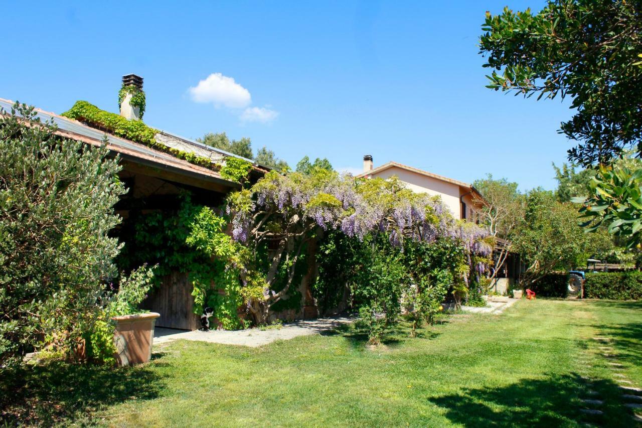 Agriturist Prile Villa Castiglione della Pescaia Buitenkant foto